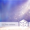 Dusk in Winter / Cold Particles - Single