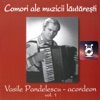 Vasile Pandelescu - acordeon, Vol. 1