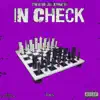 In Check (feat. Parlay) [S.U.C Remix] [S.U.C Remix] - Single album lyrics, reviews, download