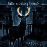 Pattern-Seeking Animals - I'm Not Alright (Bonus Track)