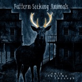 Pattern-Seeking Animals - Said the Stranger