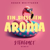Ein bisschen Aroma (Stereoact Remix) artwork