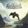 Into eternity (feat. Myrkgrav) - Single