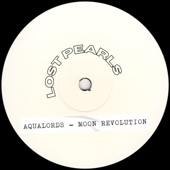 Moon Revolution (RNS Radio Version) artwork