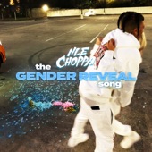 The Gender Reveal Song artwork