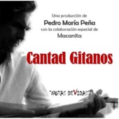 CANTAD GITANOS (feat. Macanita) artwork