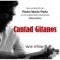 CANTAD GITANOS (feat. Macanita) artwork