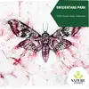 Bredentara Park - 2020 Nature Music Collection album lyrics, reviews, download