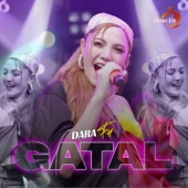 Gatal artwork