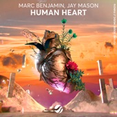 Human Heart artwork