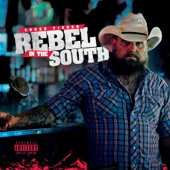Rebel in the South artwork