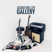 Adam Miller - Colour Blues