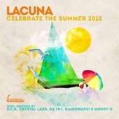 Celebrate the Summer (DJ THT Edit) artwork