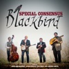 Blackbird (feat. Dale Ann Bradley, Alison Brown, Rob Ickes & Amanda Smith) - Single