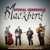 Blackbird feat. Dale Ann Bradley,Alison Brown,Rob Ickes,Amanda Smith