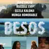 Stream & download Besos Remix (feat. Sizzla, Munga Honorable & Blaq Fuego) [Remix] - Single