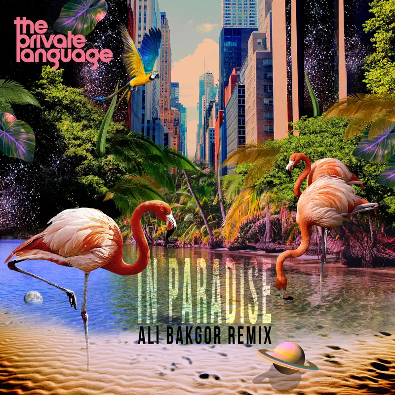 The Private Language - In Paradise (Ali Bakgor Remix) - Single (2023) [iTunes Plus AAC M4A]-新房子