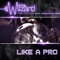 Like a Pro (feat. Nyanda & Chedda) - The Wizard lyrics