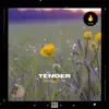 Tender - Single album lyrics, reviews, download