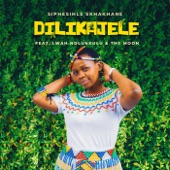 Dilikajele (feat. Lwah Ndlunkulu & The M.O.O.N) artwork