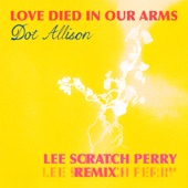 Love Died in Our Arms (Lee Scratch Perry Remix) artwork