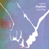 Love Flow - Single