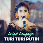 Turi Turi Putih artwork