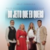 Do Jeito Que Eu Quero - Single