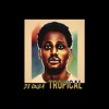 Tropical - Single
