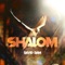 Shalom - David Dam lyrics