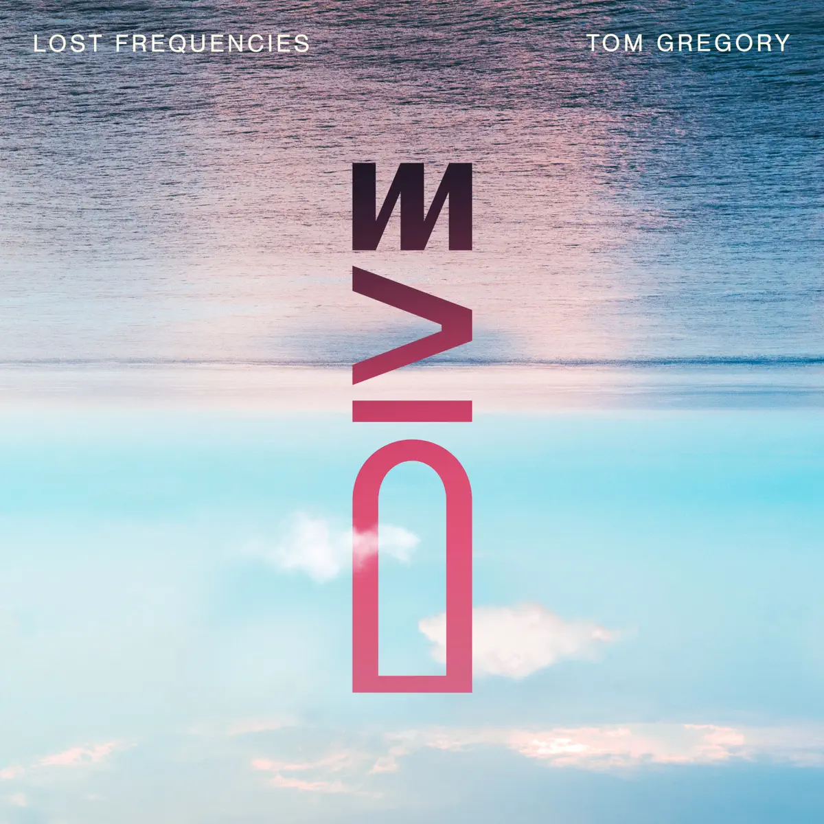 Lost Frequencies & Tom Gregory - Dive - Single (2023) [iTunes Plus AAC M4A]-新房子