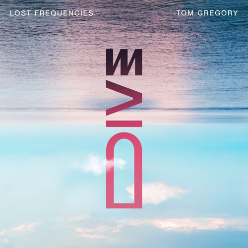 Lost Frequencies & Tom Gregory – Dive – Single [iTunes Plus AAC M4A]