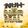 Nuh Normal - Single