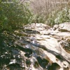 I So Liked Spring - Single