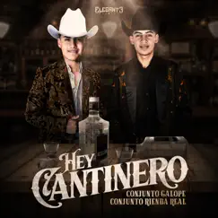 Hey Cantinero - Single by Conjunto Galope De Rio Grande & Conjunto Rienda Real album reviews, ratings, credits