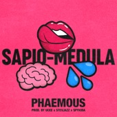 Sapio-Medula artwork
