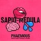 Sapio-Medula artwork
