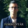 Forró Nyár (Radio Edit) - Single album lyrics, reviews, download