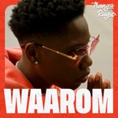 Waarom artwork