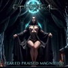 Feared Praised Magnified - Single