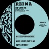 Mississippi Moonshine b/w When You Belong To Me - Single