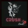 Crush - Single album lyrics, reviews, download