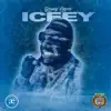 Iceey - Single album lyrics, reviews, download