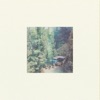 Rimba Raya - Single