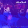 Blue Flags - Single