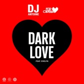 Dark Love (feat. Evelyn) artwork