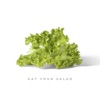 Eat Your Salad by Citi Zēni iTunes Track 1