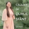 Călăuzit De Duhul Sfânt