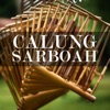 Calung Sarboah, 1995