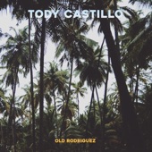 Tody Castillo - Waving Through the Window